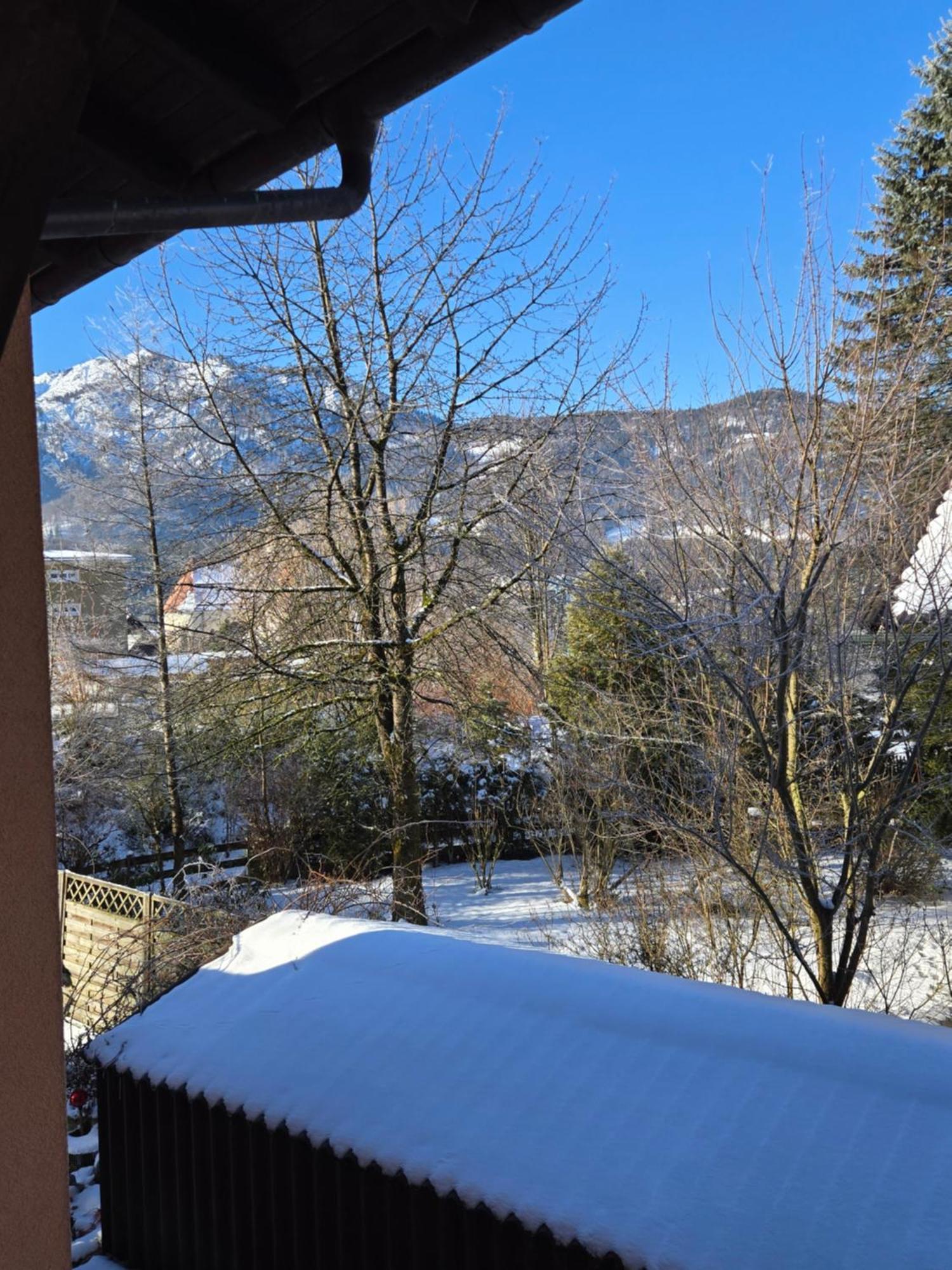 Appartamento Alpenblumal Bad Goisern Esterno foto