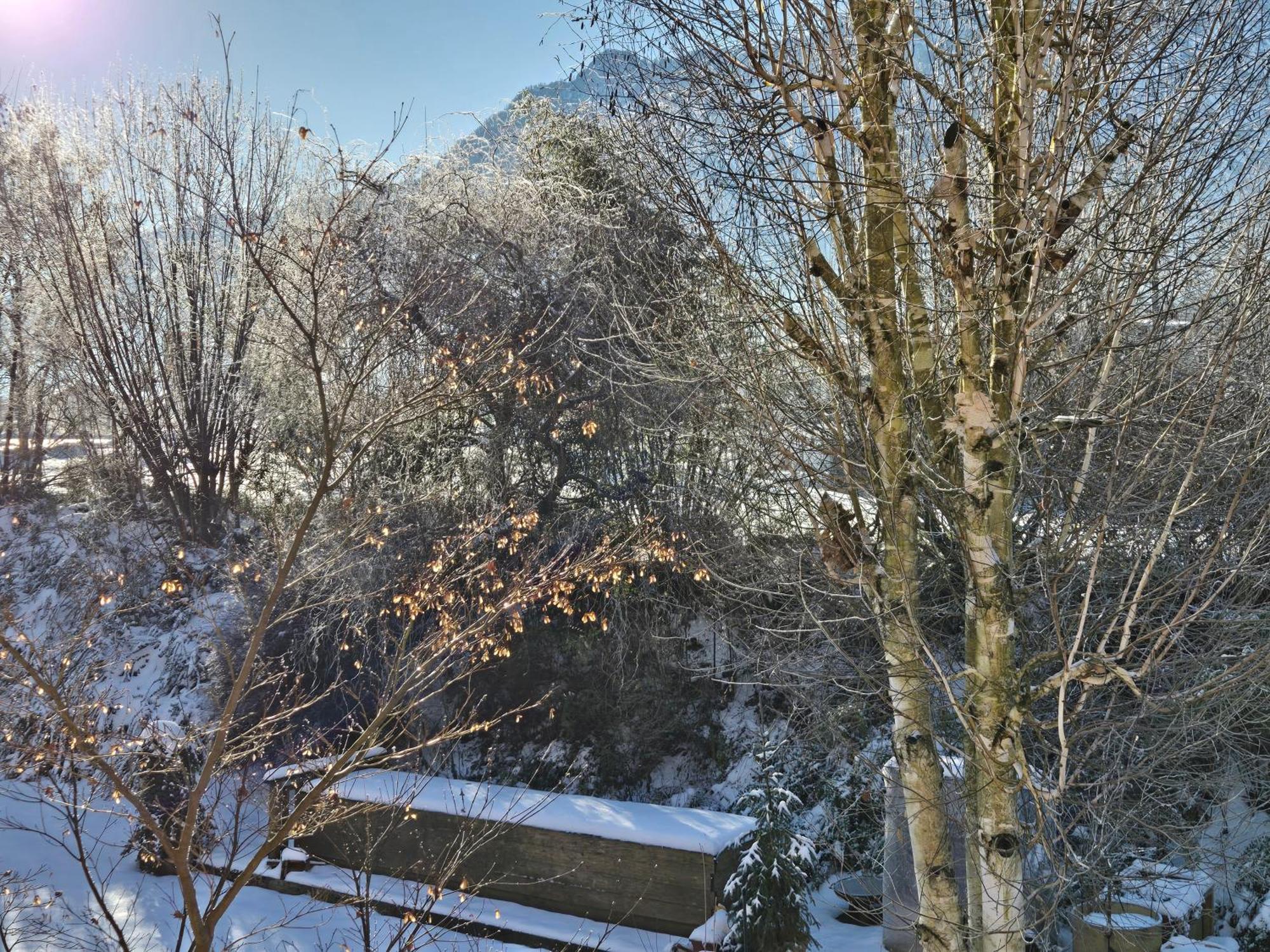 Appartamento Alpenblumal Bad Goisern Esterno foto